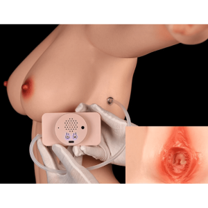 Auto Clamp And Suck+Moaning (External Version)