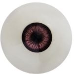 Full Ball Moveable Eyes Without Bloodshot