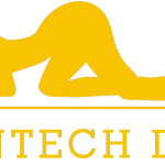 Irontech Doll
