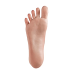 Non Standing Feet (Free)
