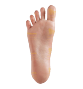 Standing Feet Without Bolt