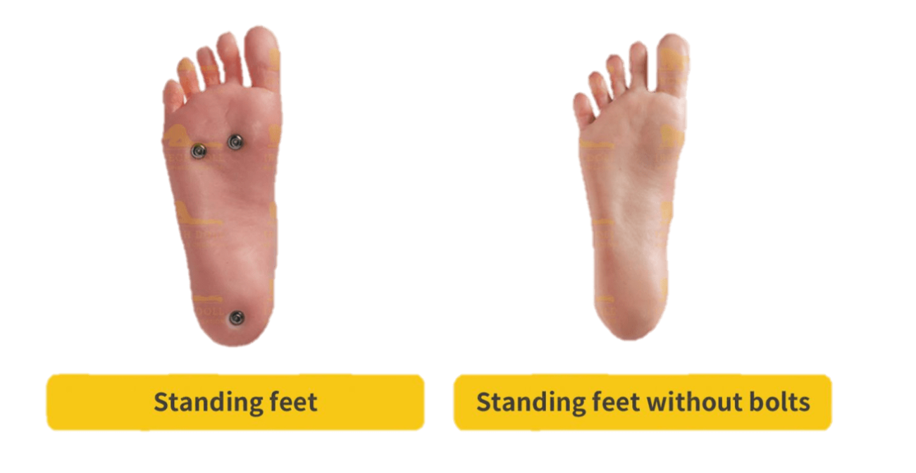 Standing-Feet-with-and-without-bolt