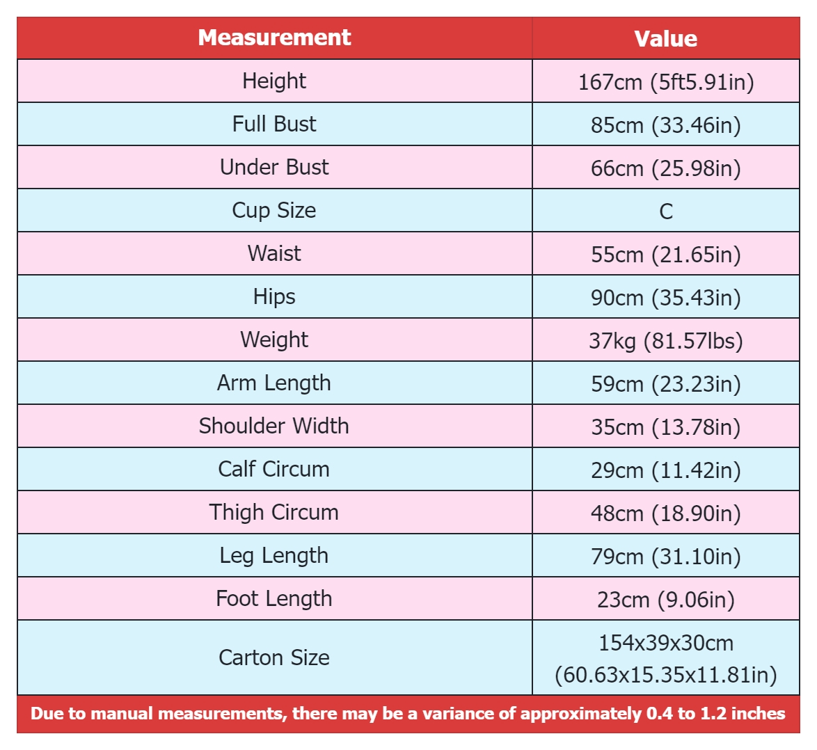 Body Measurement-167cm-Irontechdoll-TPE