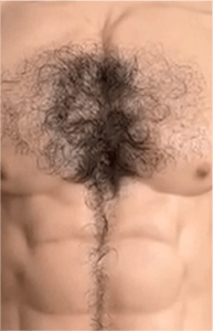 Chest