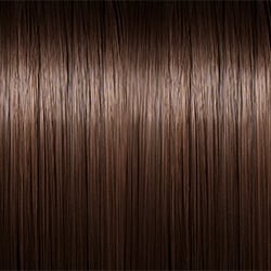 Chestnut