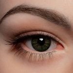 #02-Forest Green