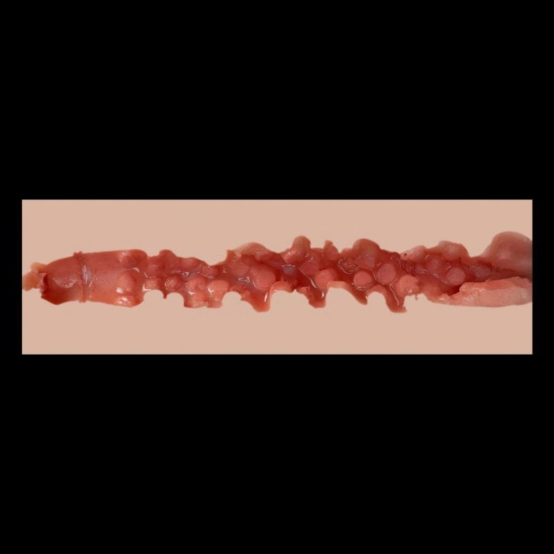 1#-Vagina Tunnel