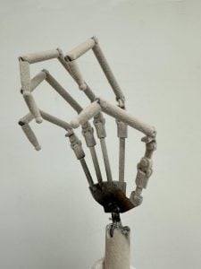 Articulated Fingers