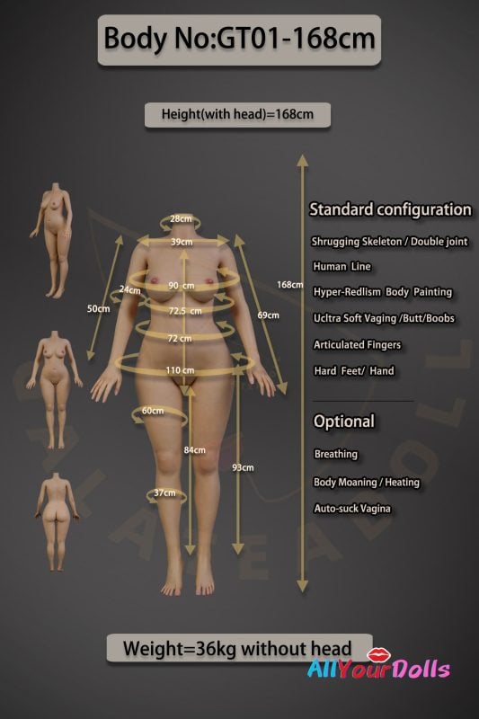 GT01-168 Body Data (Pic)