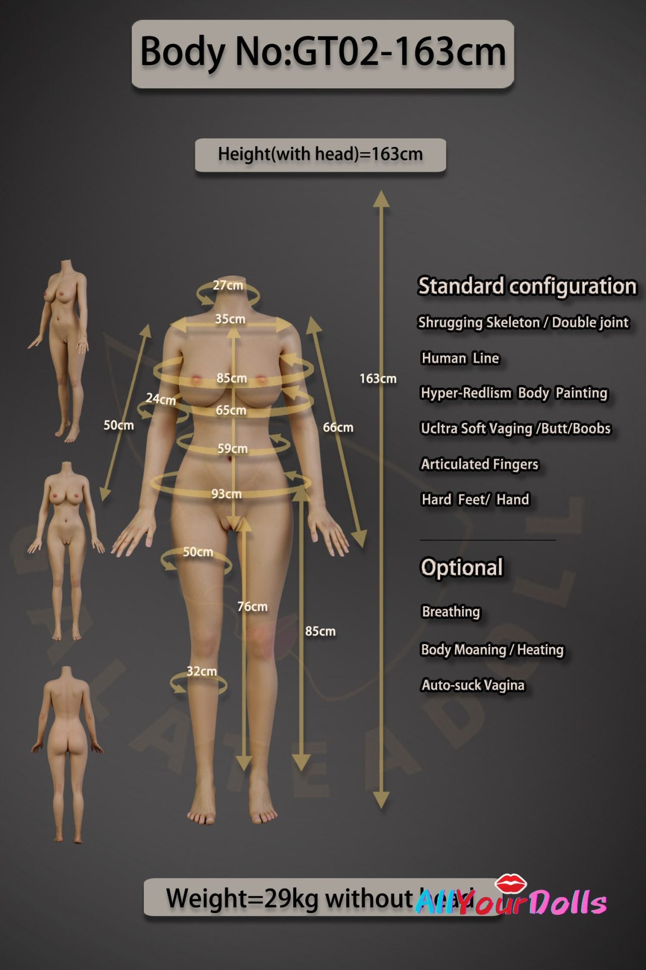 GT02-163 Body Data(Pic)