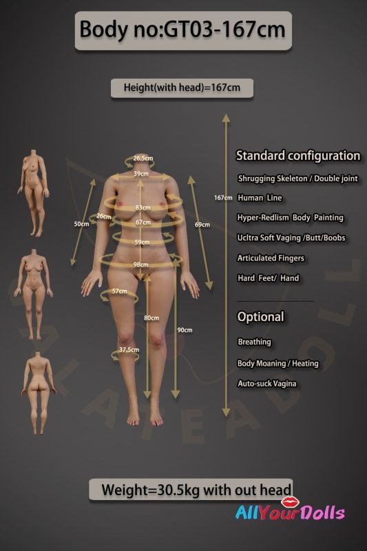 GT03-167 Body Data(Pic)