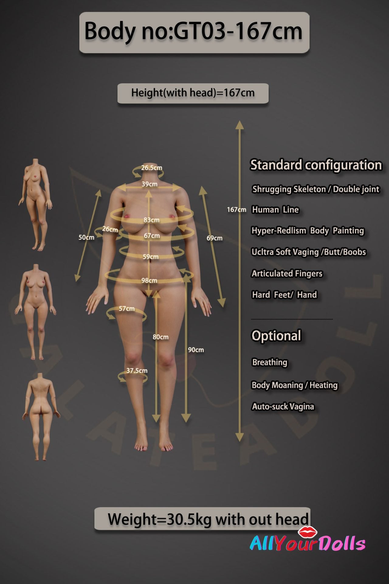 GT03-167 Body Data(Pic)