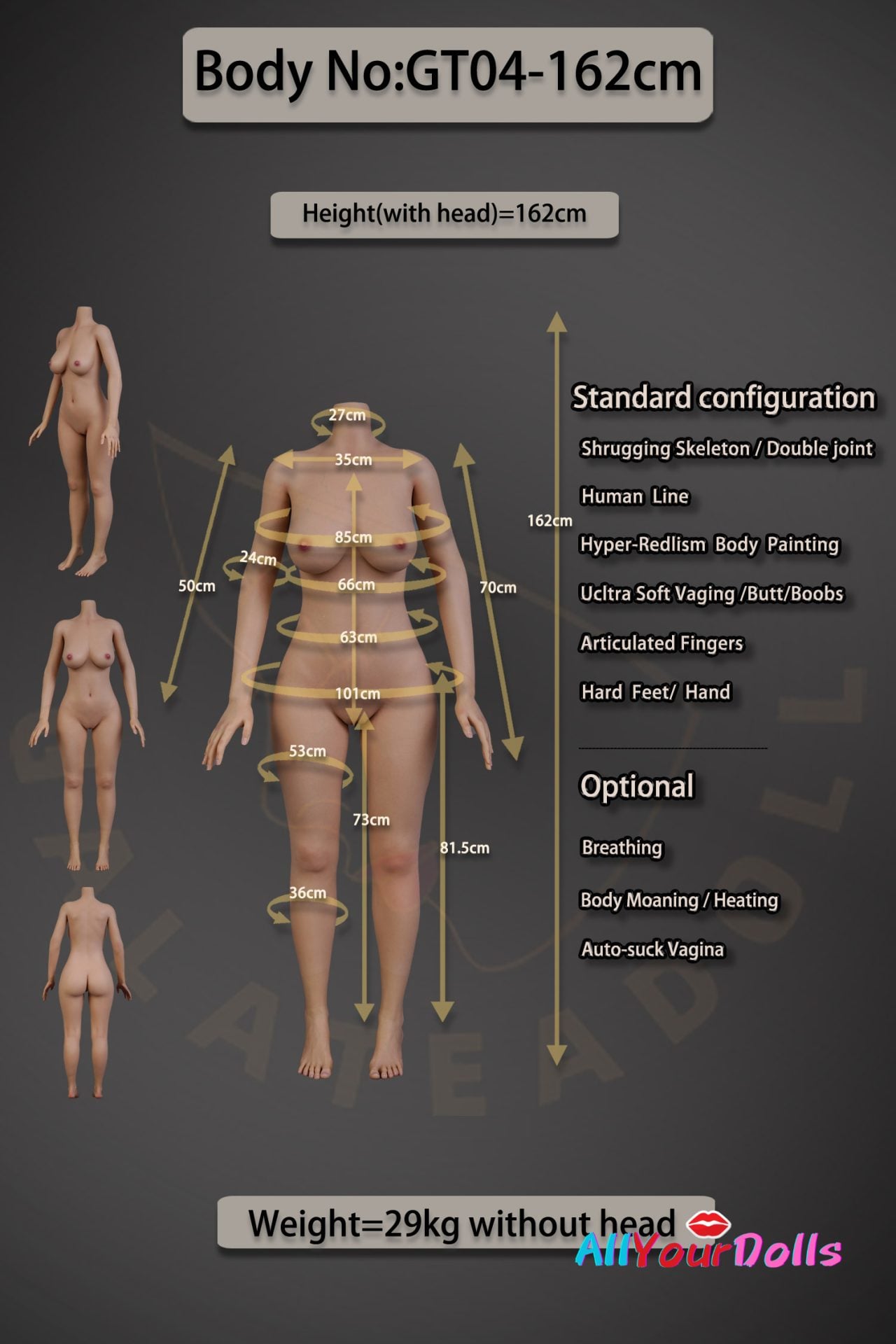 GT04-162 Body Data