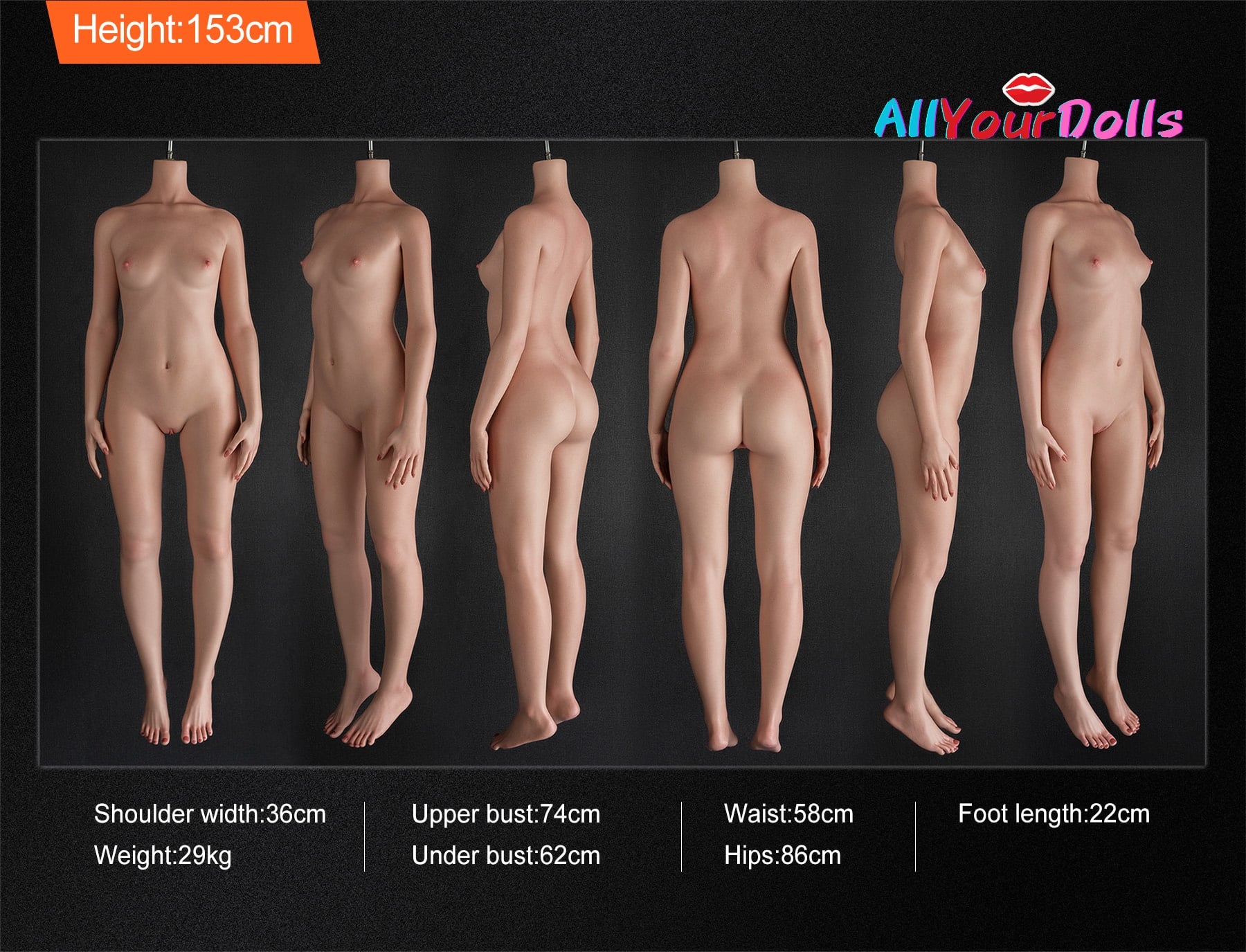 153CM-B-cup (1)