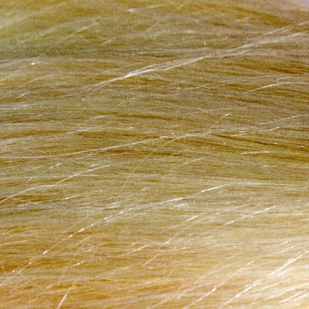 Starpery Implanted Human HairBlonde_448x448