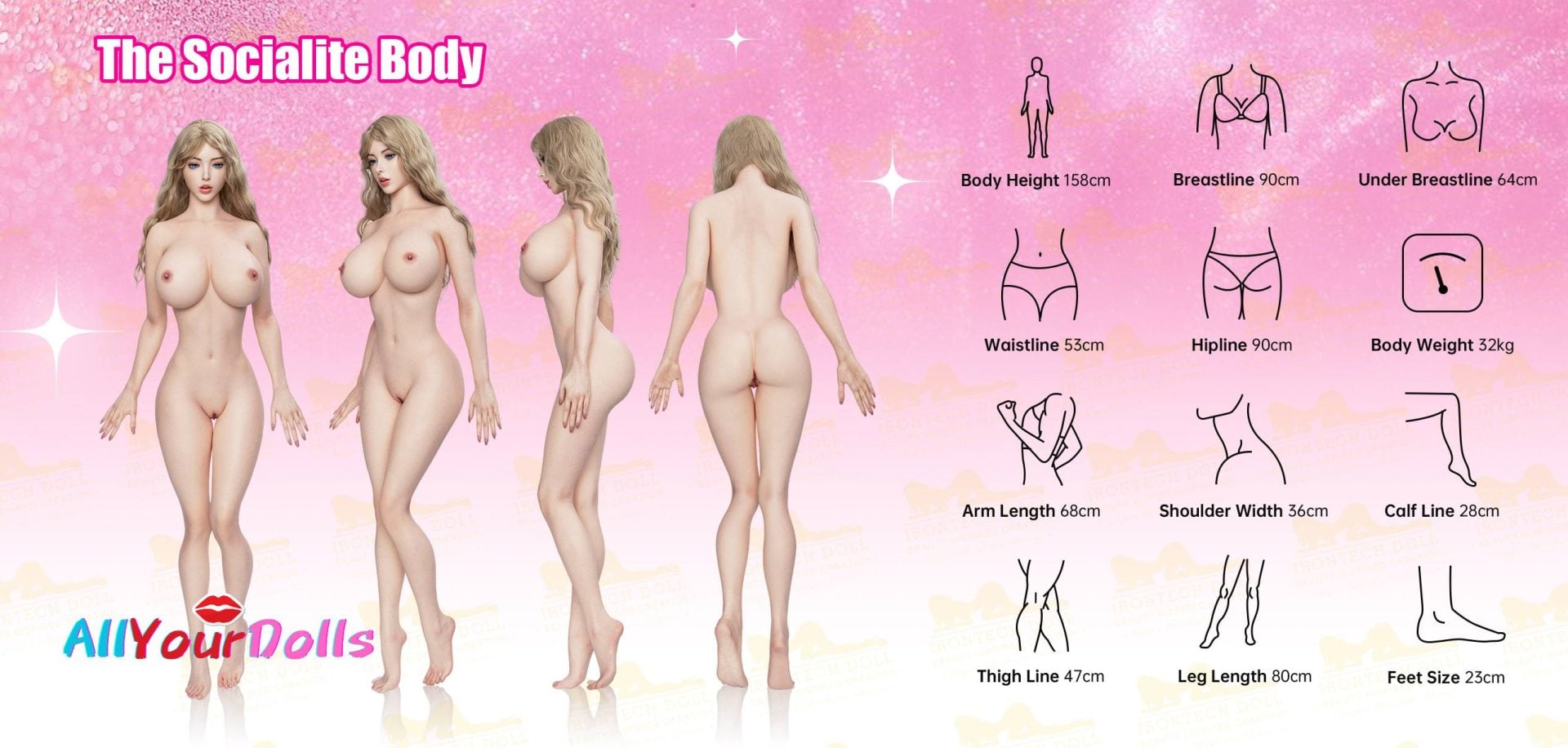 158BA Body Details