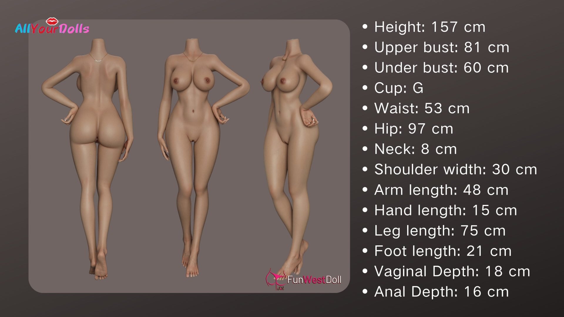 FS157cm G Cup-Body Measurements