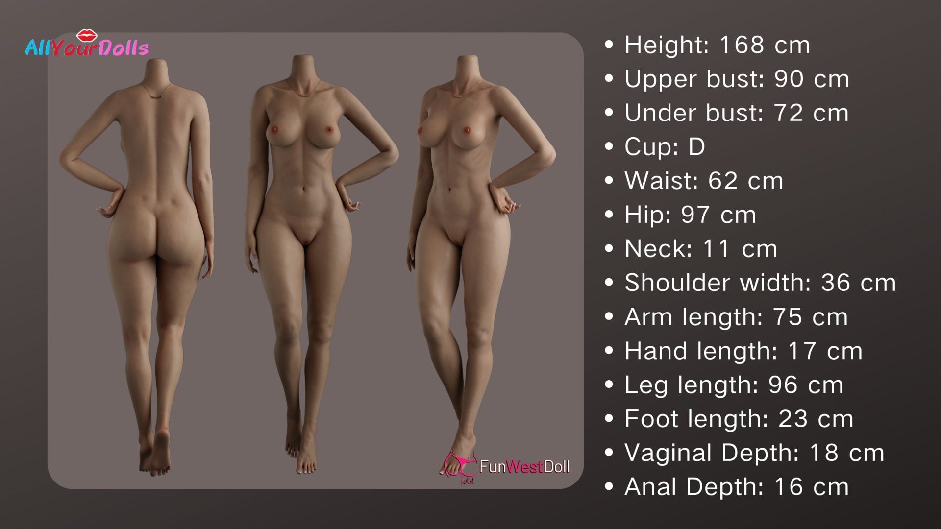 Funwest-FS168cm D Cup-Body Measurements