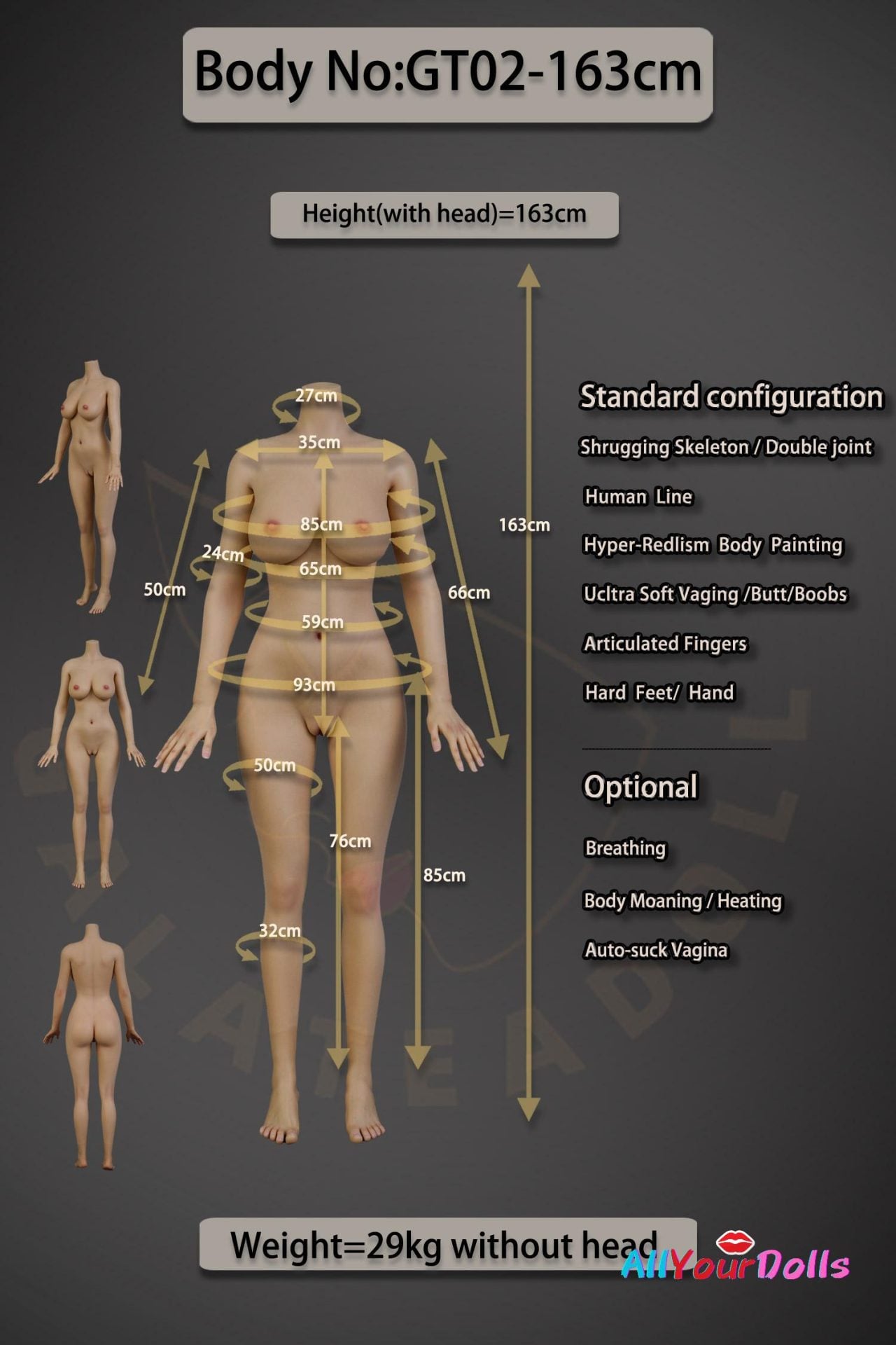 GT02-163 Body Data