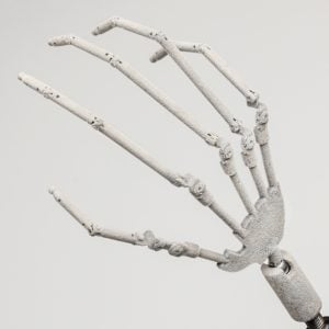 Ball Jointed Hand Skeleton