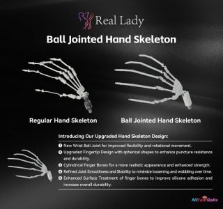 Ball Jointed Hand Skeleton with Articulated Finger Joints
