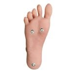 Standing Feet With Bolts (Free)