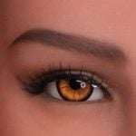 03 Brown