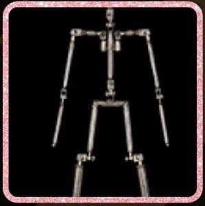 EVO Skeleton