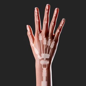 Articulated Fingers Hands