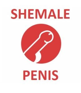 Shemale Penis