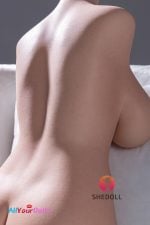 Shedoll-SH163-torso (20)