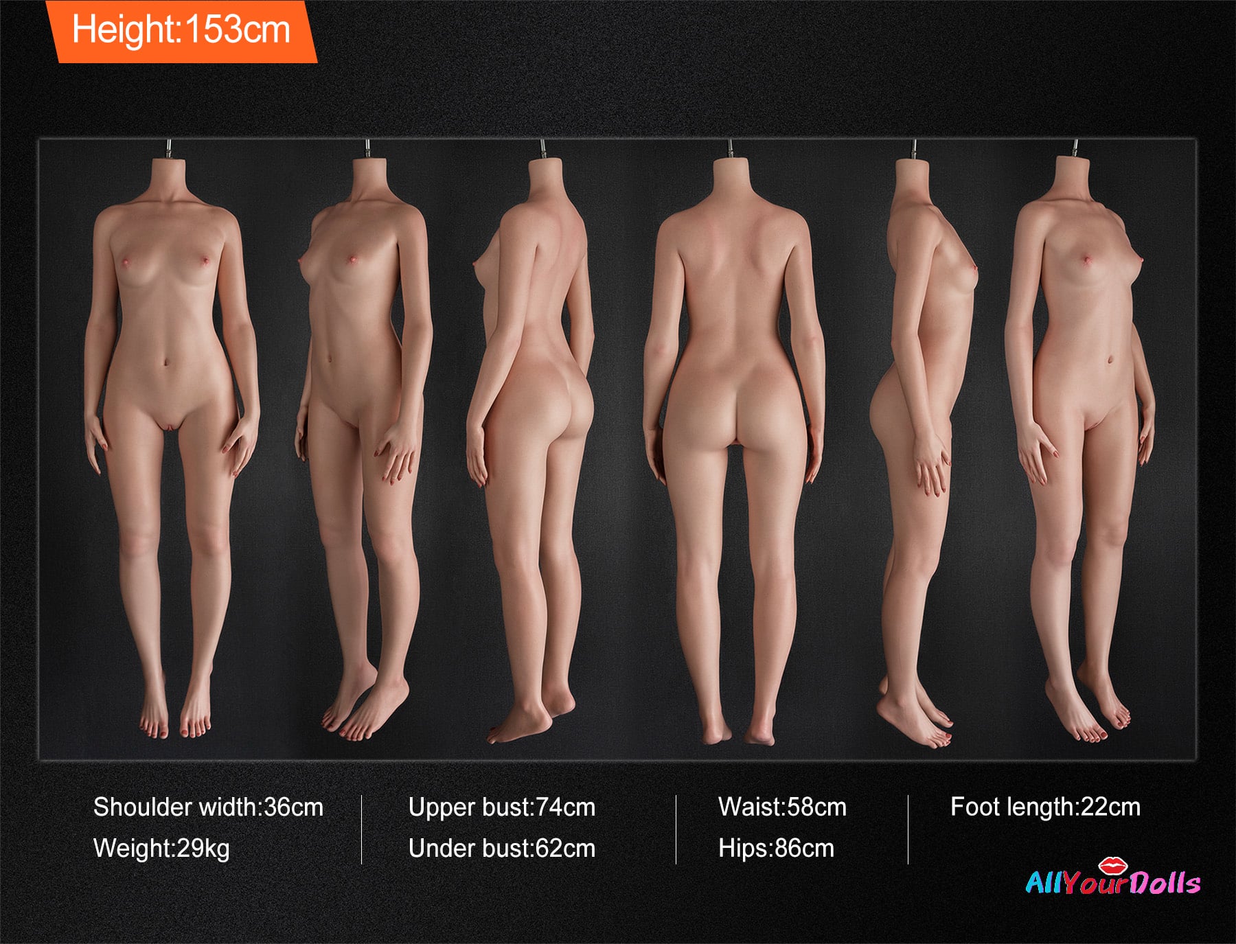 153CM-B-cup