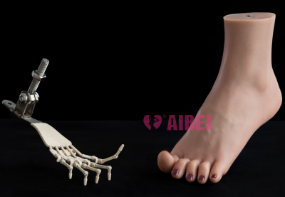 Articulated Toes
