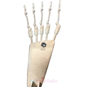 Articulated toe