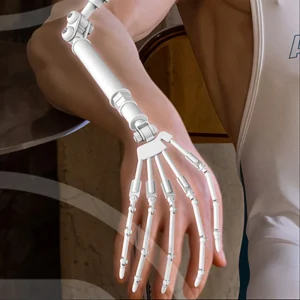 Articulated Finger Skeleton