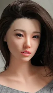 Shuyi1 (ROS)