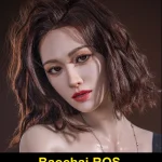 Baochai ROS