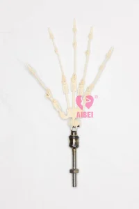 03 Hand with articulated fingers