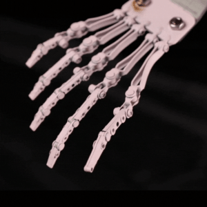 Advanced Toes Joints