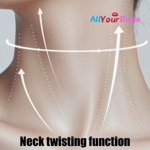 Neck twisting function