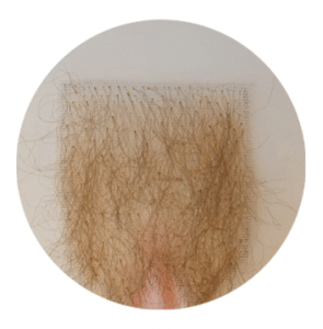 Pubic Hair-01