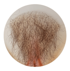 Pubic Hair-02