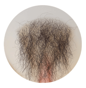 Pubic Hair-03