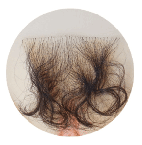 Pubic Hair-04
