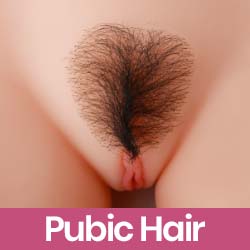 Pubic hair