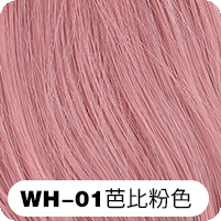 WH-01