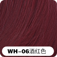 WH-06