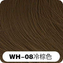 WH-08