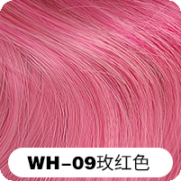 WH-09