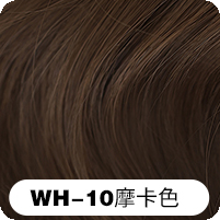 WH-10